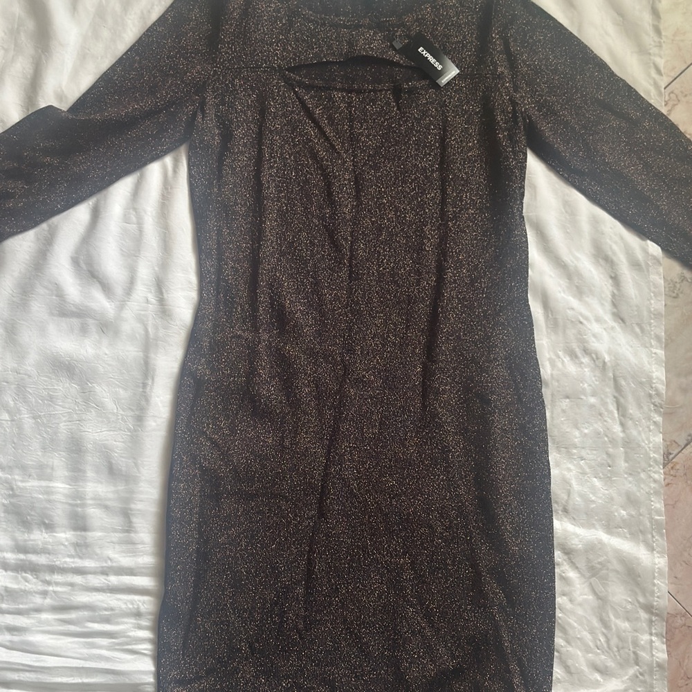 Express Shimmer Dress Long Sleeve
